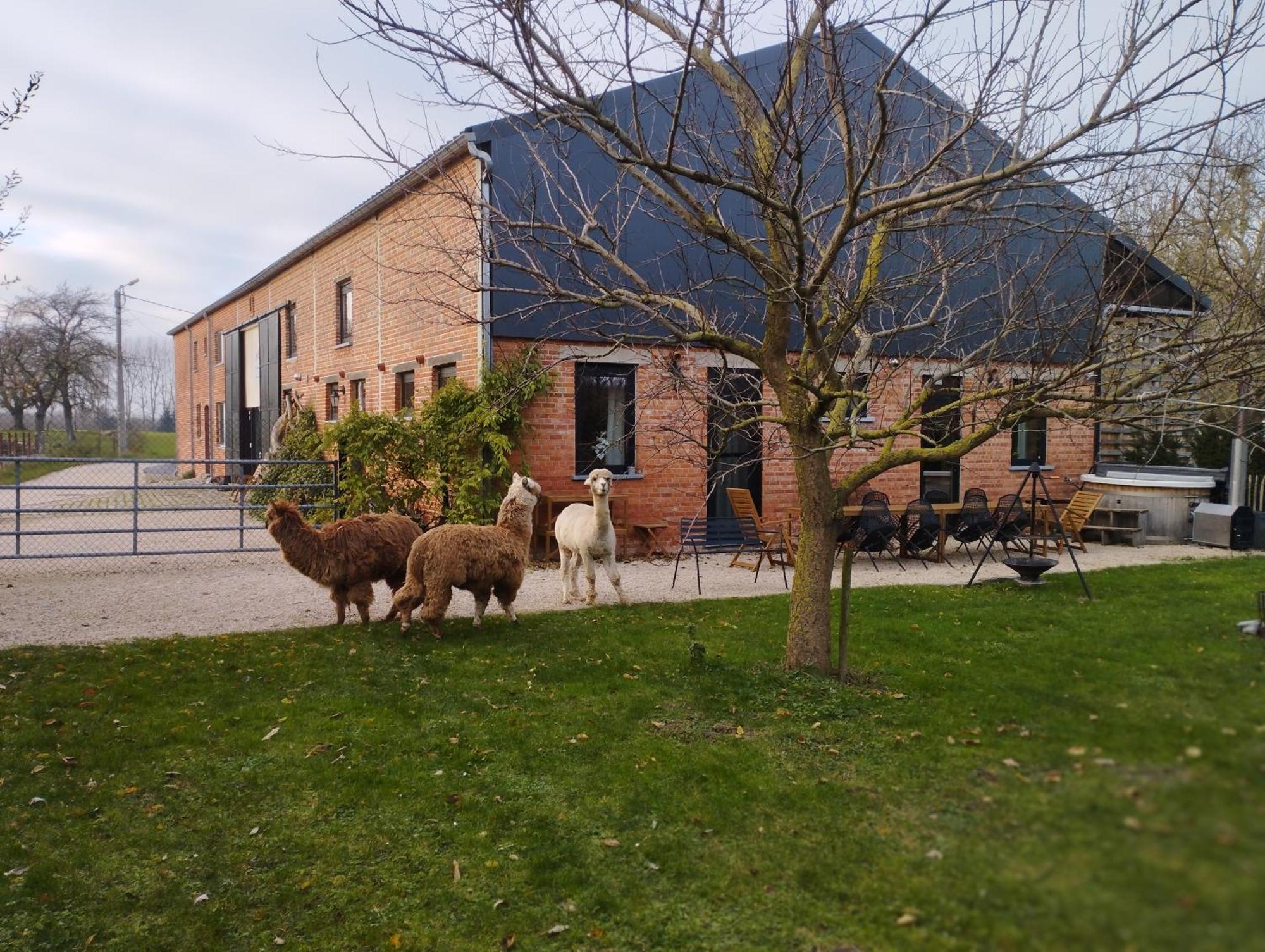 De Smishoeve Met Kinderpret, Dieren En Wellness Heers ภายนอก รูปภาพ