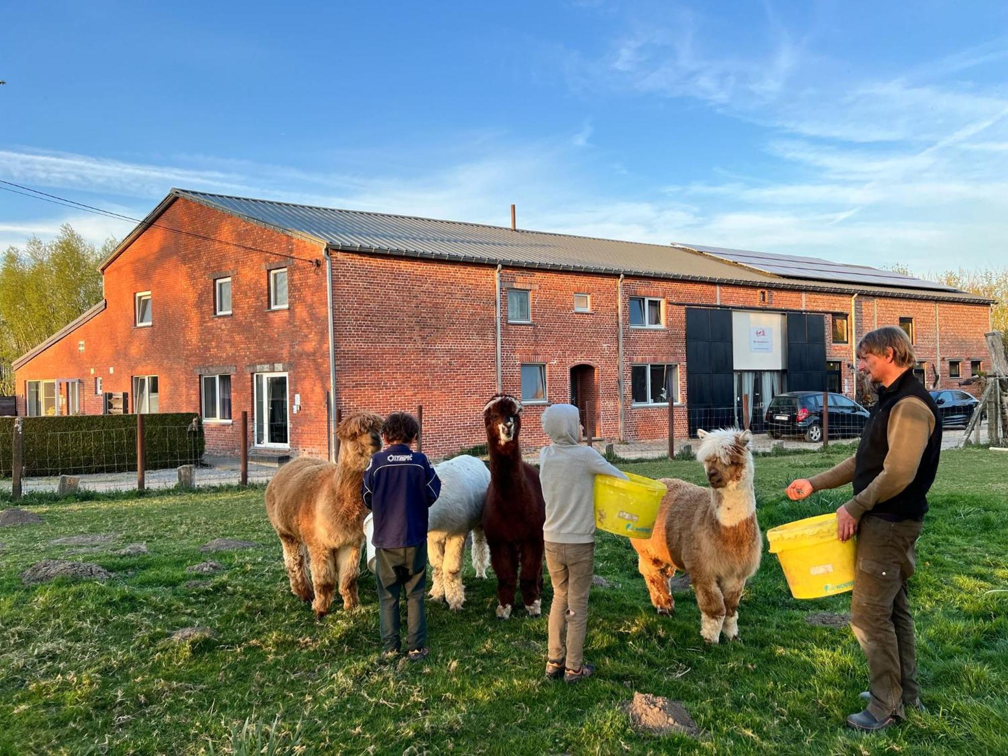 De Smishoeve Met Kinderpret, Dieren En Wellness Heers ภายนอก รูปภาพ