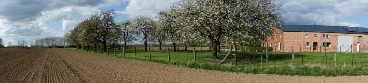 De Smishoeve Met Kinderpret, Dieren En Wellness Heers ภายนอก รูปภาพ