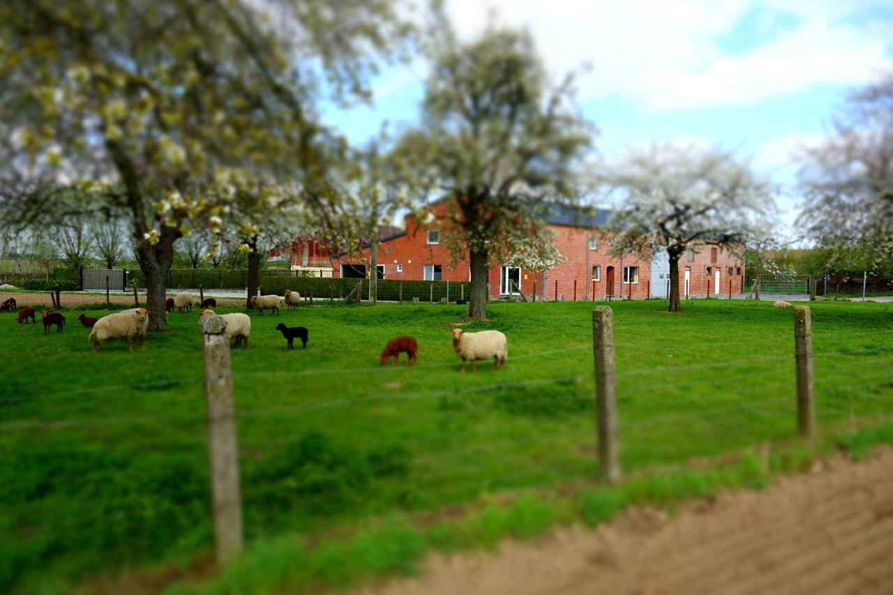 De Smishoeve Met Kinderpret, Dieren En Wellness Heers ภายนอก รูปภาพ